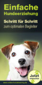 Hundeschule Online