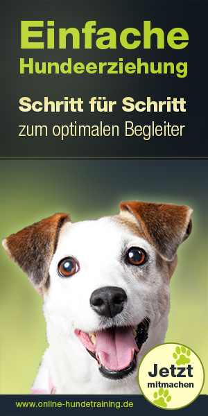 Online Hundetraining – Einfache Hundeerziehung